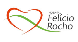 5.Felicio_Rocho_transparência